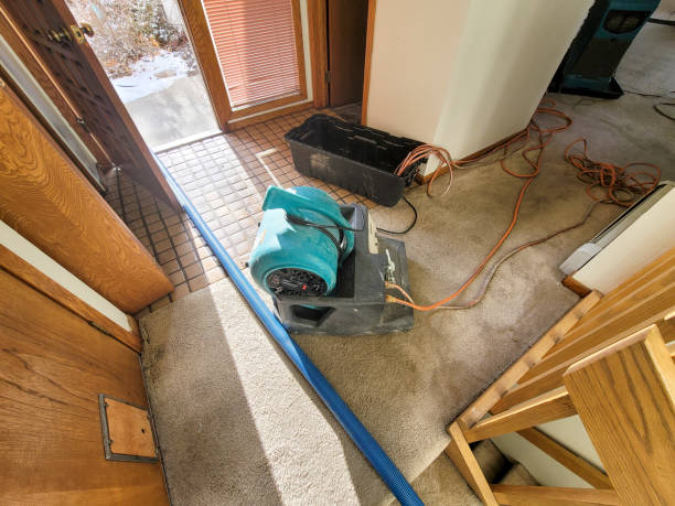 Best Sewage cleanup and water damage restoration  in Whitley City, KY