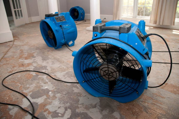 Best 24-hour water damage restoration  in Whitley City, KY