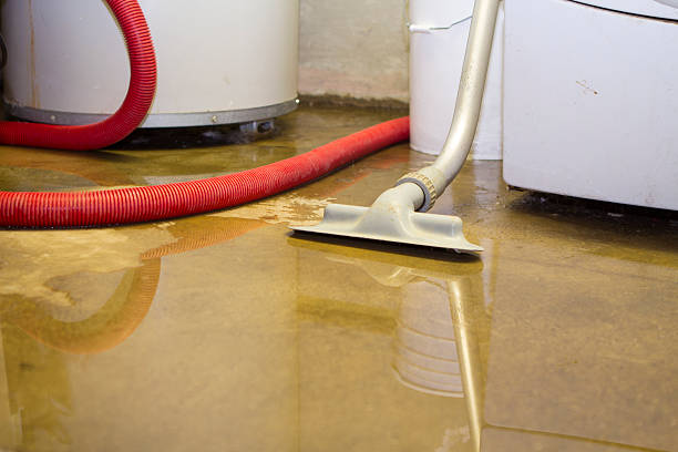 Best Residential water damage restoration  in Whitley City, KY