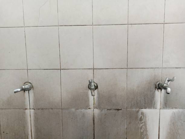 Best Water damage contractors near me  in Whitley City, KY