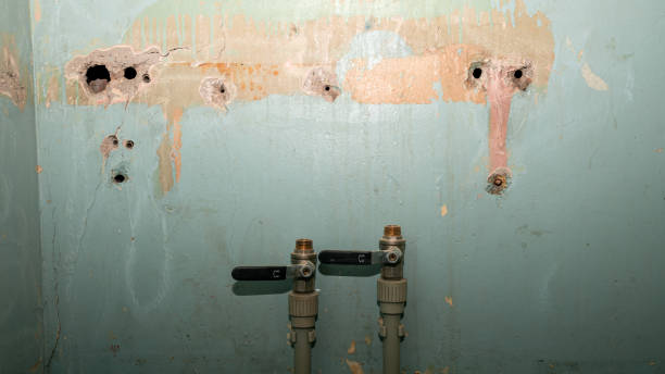 Best Flooded house restoration  in Whitley City, KY