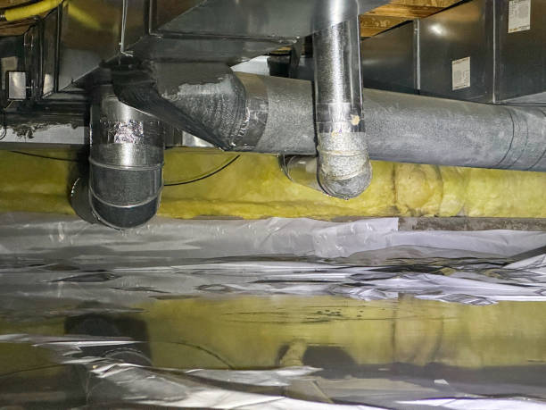 Best Water damage restoration near me  in Whitley City, KY