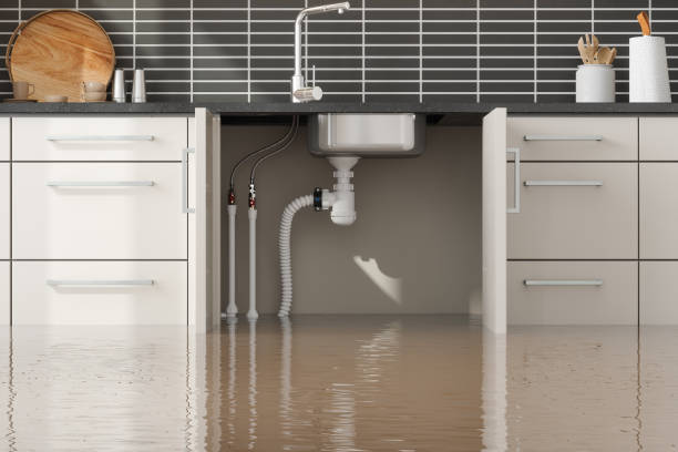 Best Flood damage cleanup  in Whitley City, KY